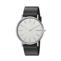 Armbanduhr Skagen Herr Signatur in Titan SKW6419 - SKW6419